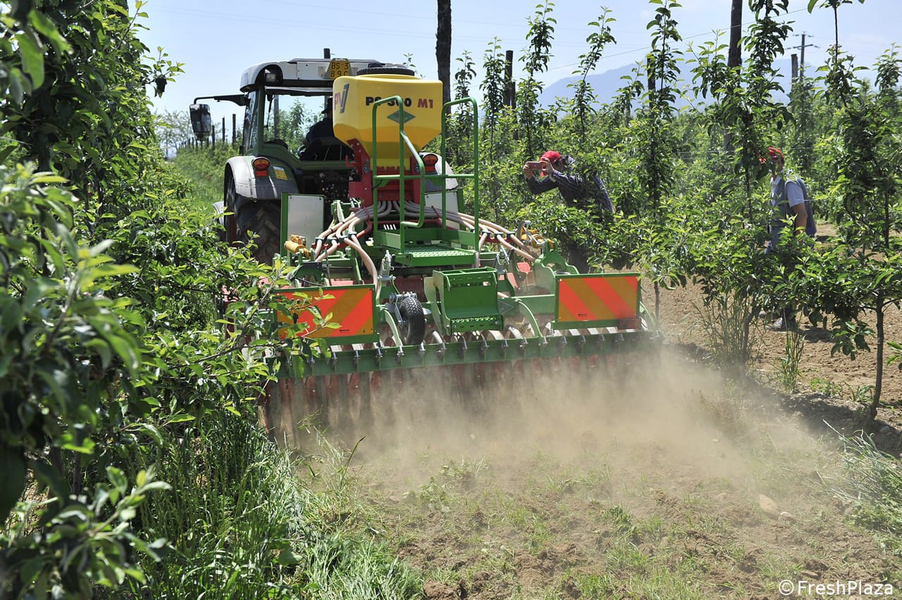 Agricoltura biologica e dinamica